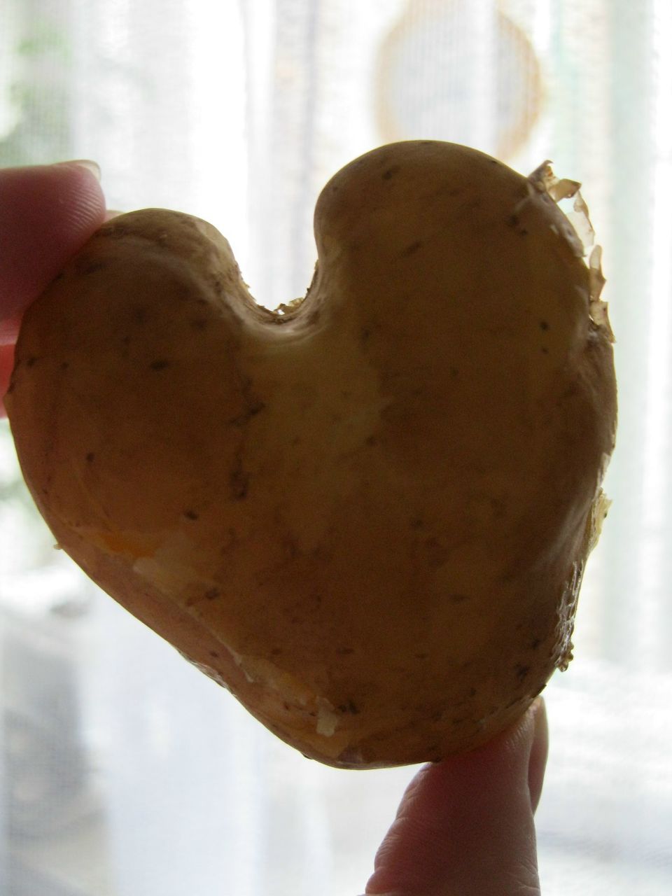 Дарья Солдатова | Новосибирск