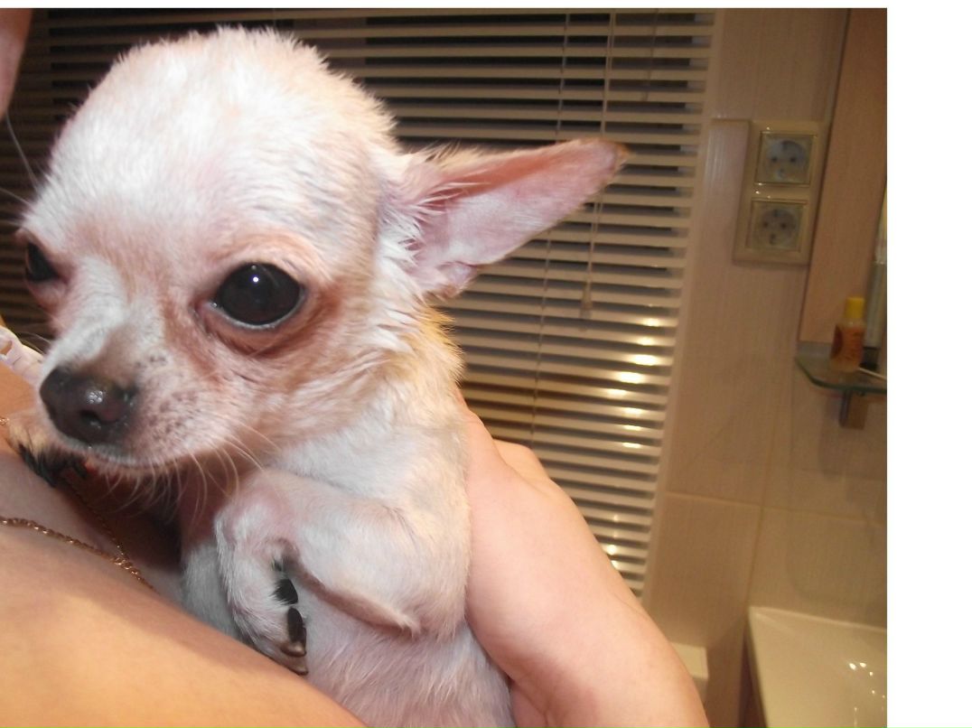 Леночка Власова | Москва