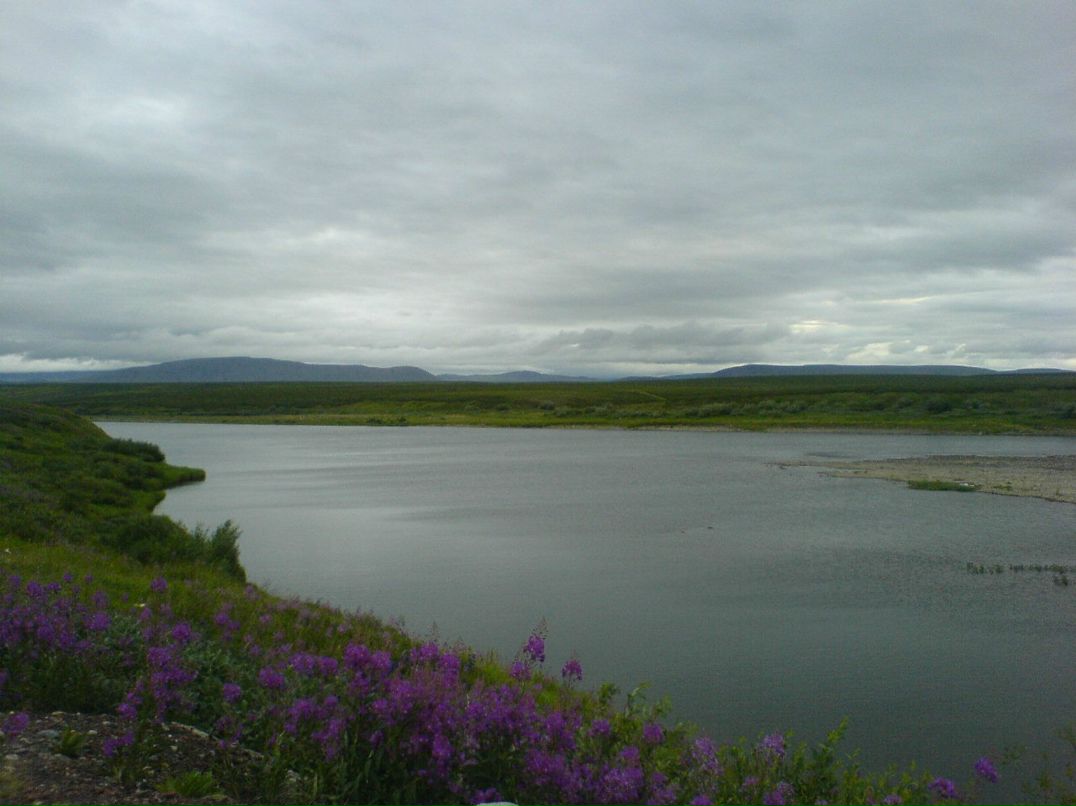 Александр Петров | Воркута