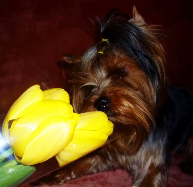 Анастасия Прокудина | Челябинск