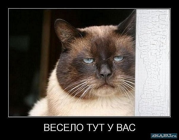 №2, Максим Валов, 35 лет, Канск, Россия №2, Максим Валов, 35 лет, Канск, Россия