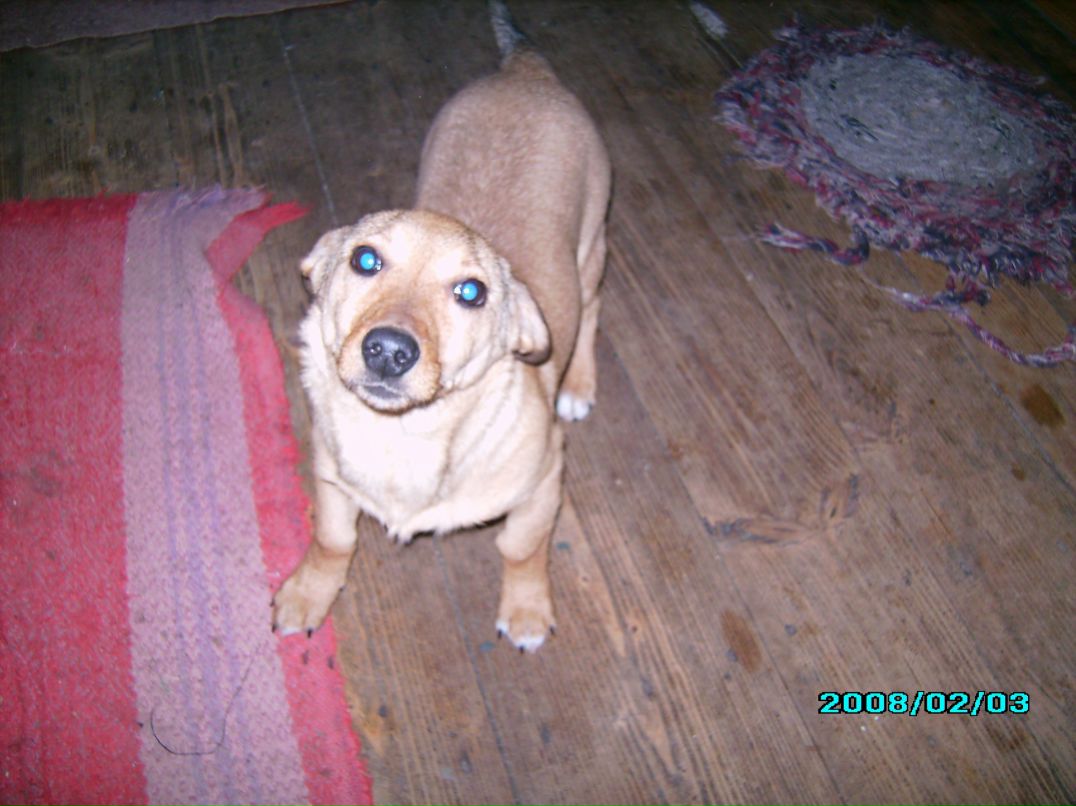 Віктор Соляник | Ивано-Франковск