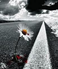 Александра Кечина | Саратов