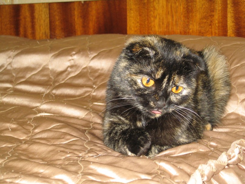 Валерий Патрушев | Екатеринбург