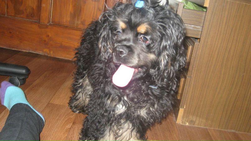 Анастасия Клименко ツ♥ツ♥ツкуклаツ♥ツ♥ツ | Краматорск