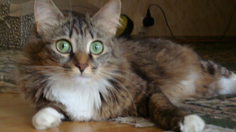 Сергей Душкин | Долгопрудный