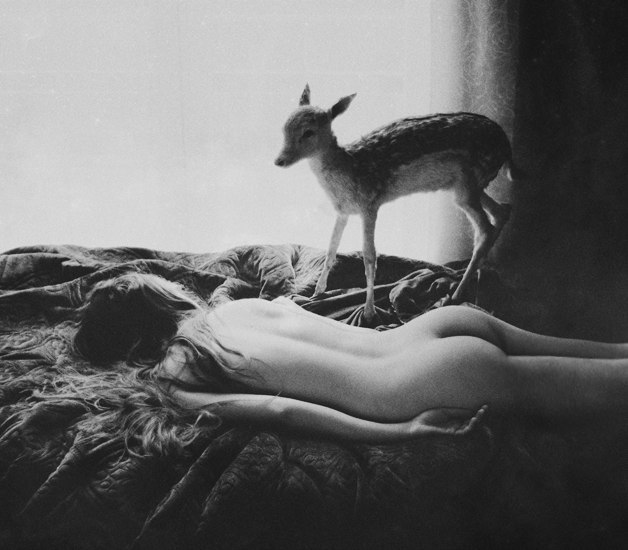 Лена Казакова | 