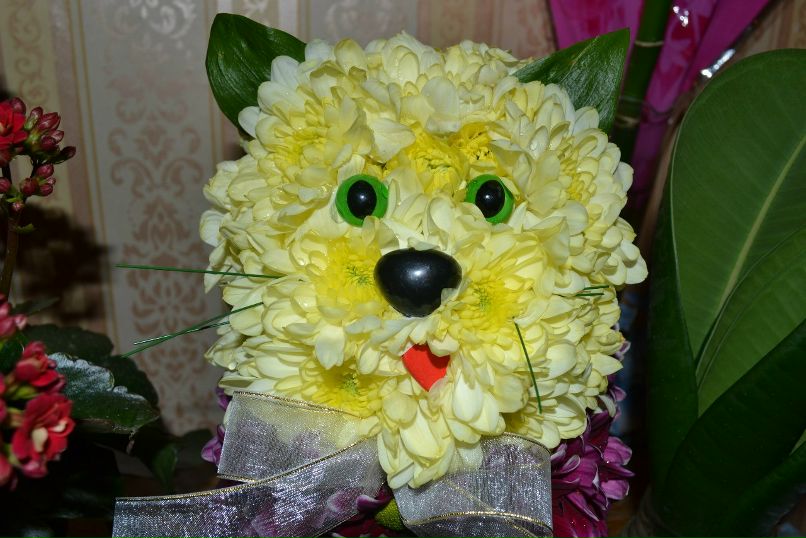 Елена Нестерова 埃莱娜 | Санкт-Петербург