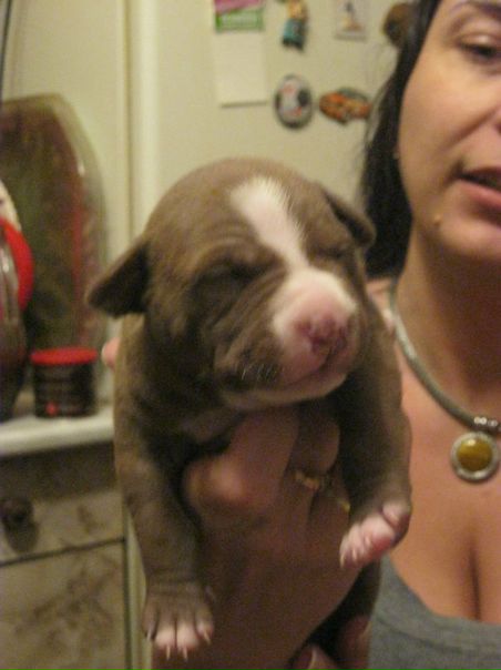 №99, Мария Пащук, Москва №99, Мария Пащук, Москва