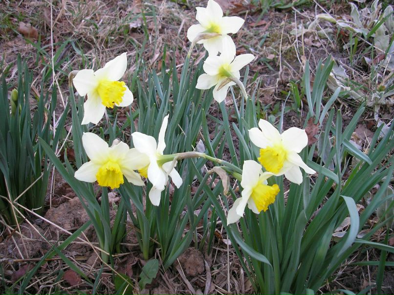 Mad Butcher | Москва