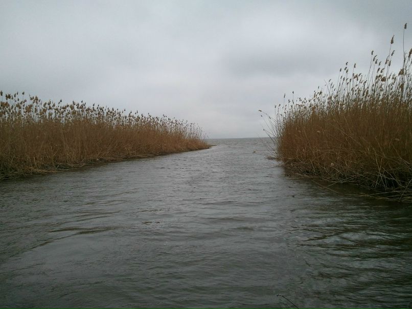 Сергей Рябов EldMaster | 