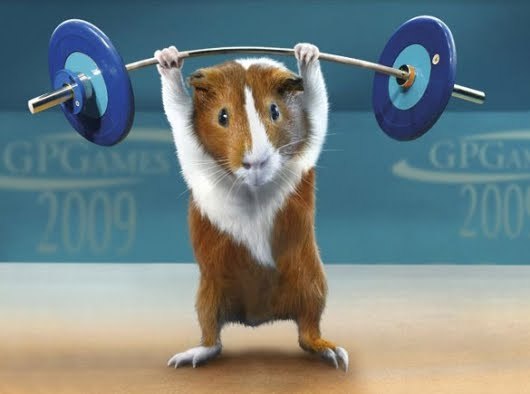 Антон Дегтярь | Иваново