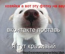 Фотография Киселевой Анны