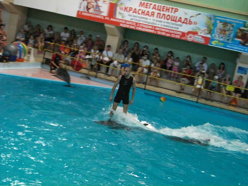 David Mulich | Москва