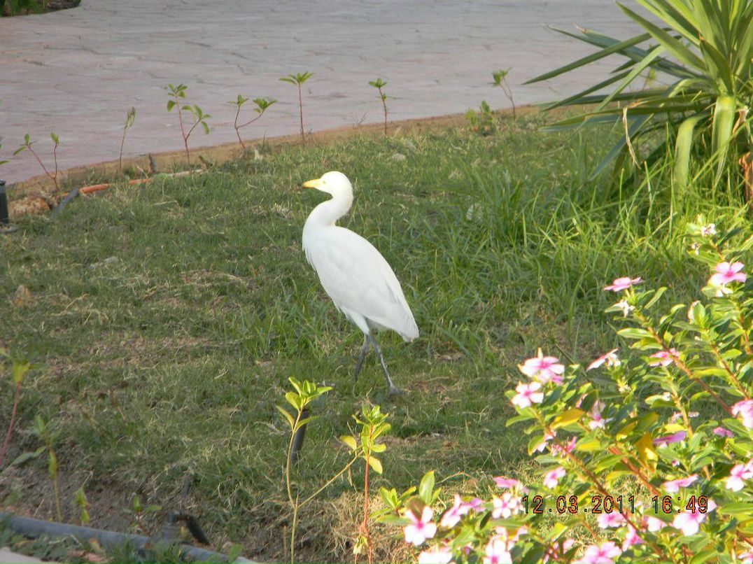 Ольга Бутова (Муляр) | Тернополь