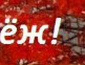 Юлия Дмитриева ♀♂Fuck Them All♀♂ | Кропивницкий / Кировоград