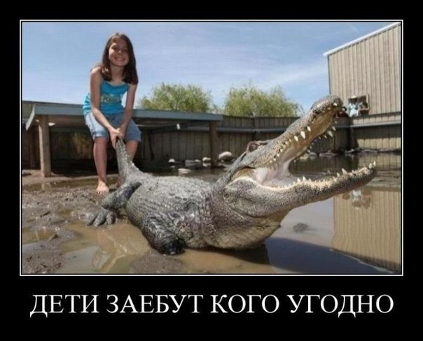 Константин Константинов ибн аль | Бендеры