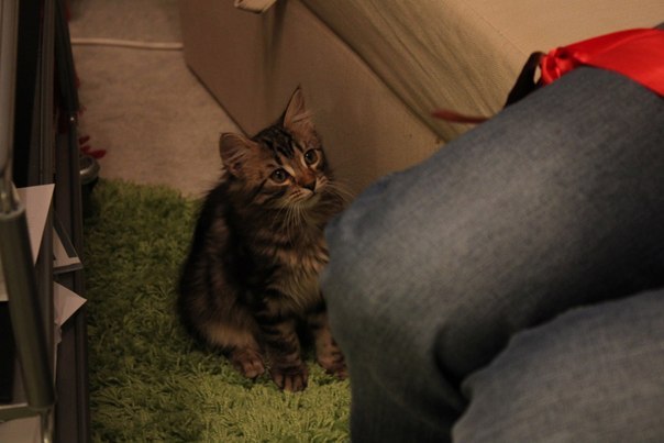 Артем Пироженко де | Helsinki