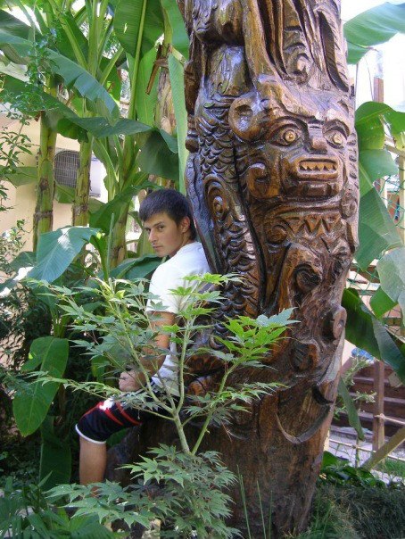 Михаил Николаев | Сочи