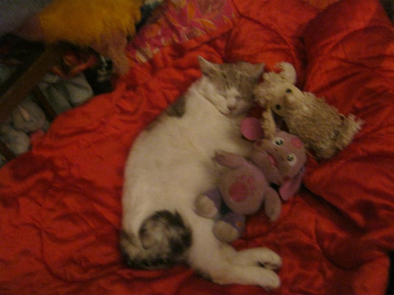 Юлия Павлова | Ярославль