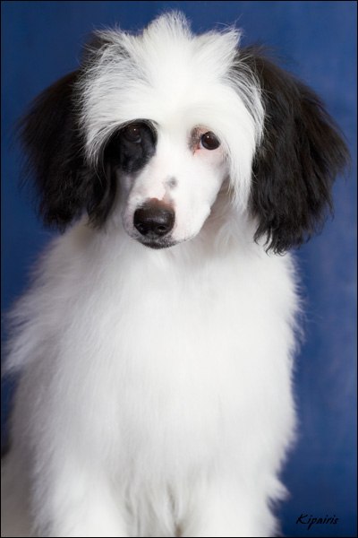 Сашка Солнцева | Москва