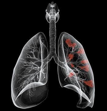 Элеонора Яхина dr. | Уфа