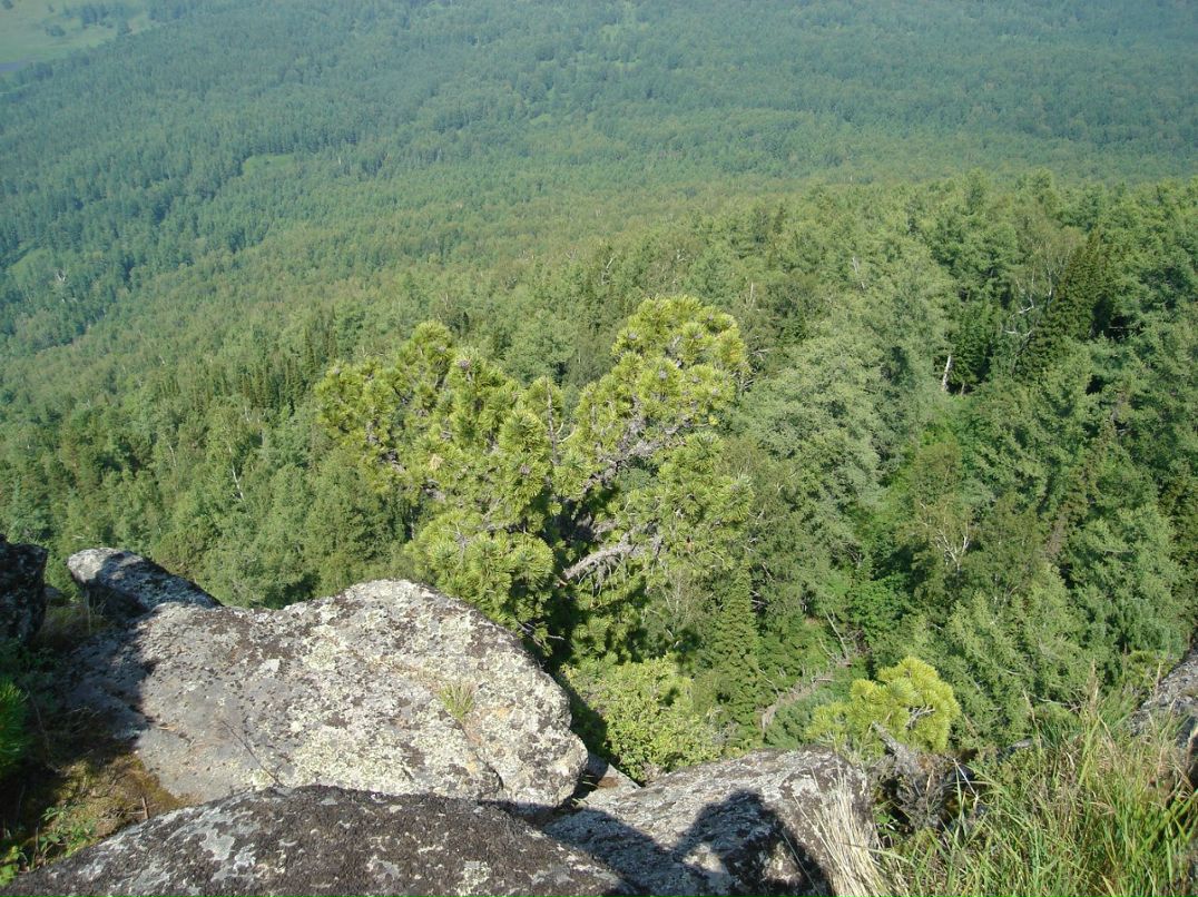 Вячеслав Рощин | 