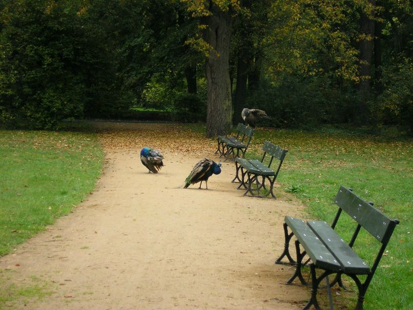 Анна Авлахова | Севастополь