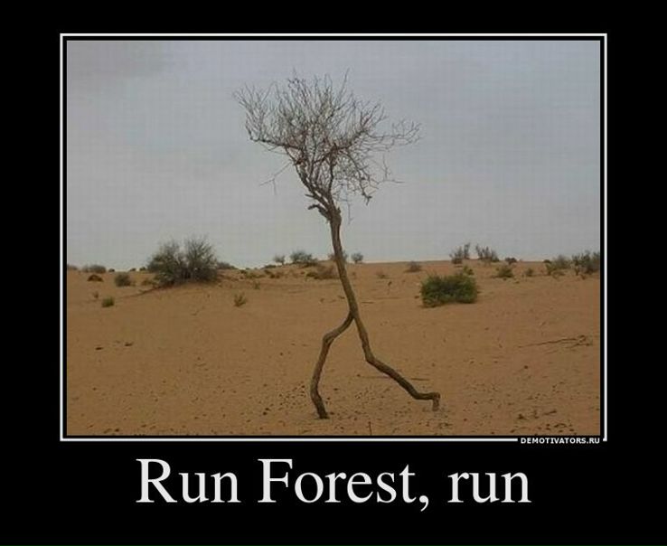 №8, Эндрю Бобров, 37 лет, Kingston №8, Эндрю Бобров, 37 лет, Kingston