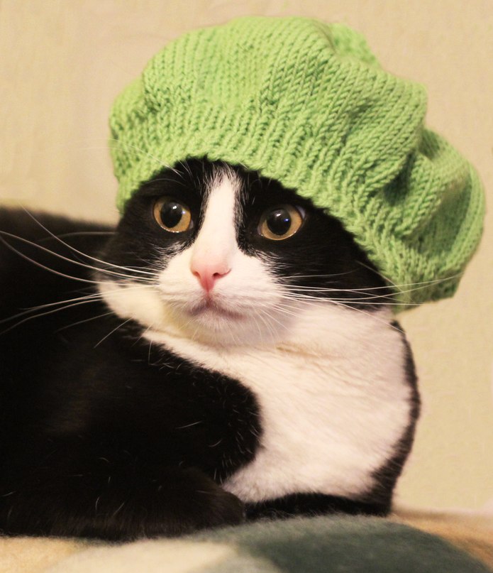 Сергей Федин | Санкт-Петербург