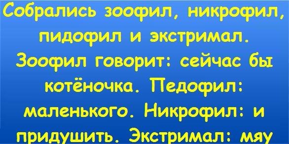 Диана Андреева | Санкт-Петербург
