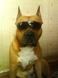 Алексей Быков | Новосибирск