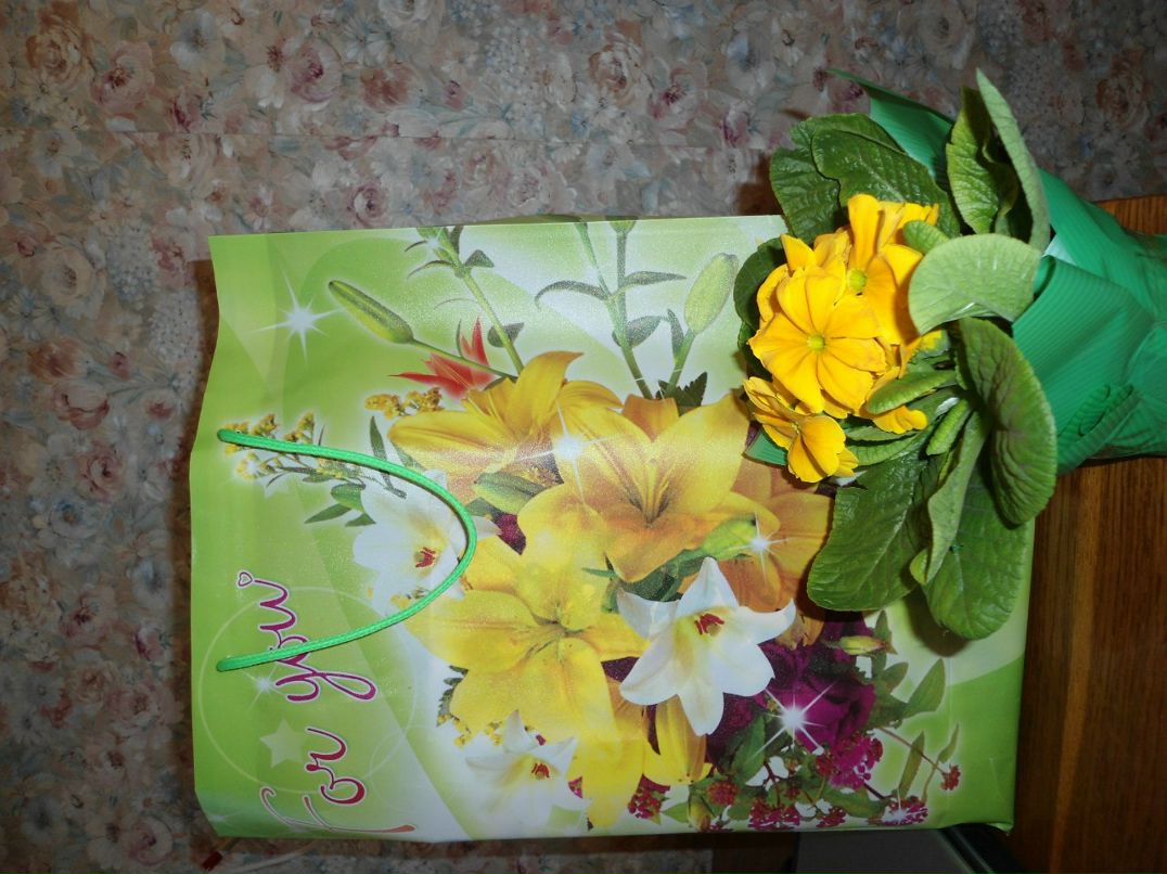 Елена Раудонис | Минск