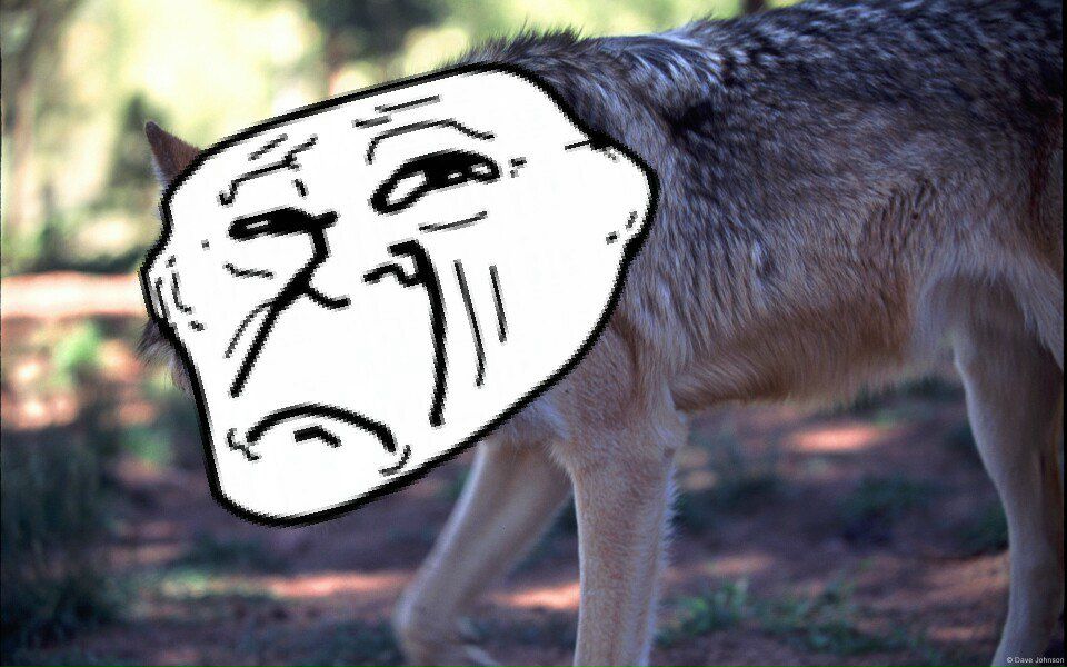 Евгений Лукьянов | Melbourne