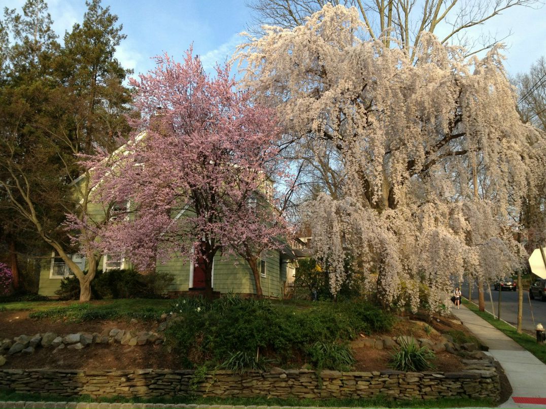 Александр Жук dung-beetle | Минск