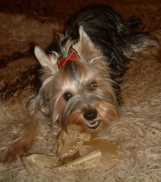 №23, Галина Аболончикова, 62 года, Псков №23, Галина Аболончикова, 62 года, Псков