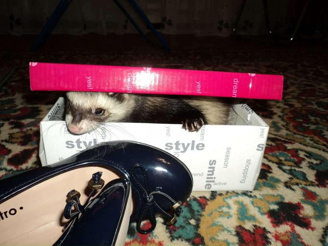 Ирина Билобровец | Кемерово