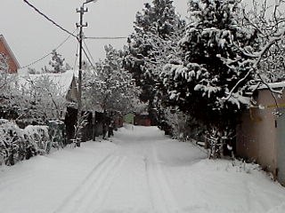 №12, Марина Заседатель №12, Марина Заседатель