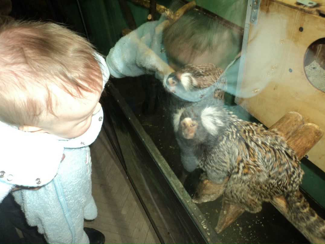 Вячеслав Трофимовский | Санкт-Петербург