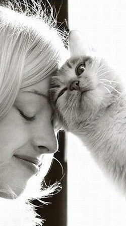 Елена Стенюшкина | Одесса