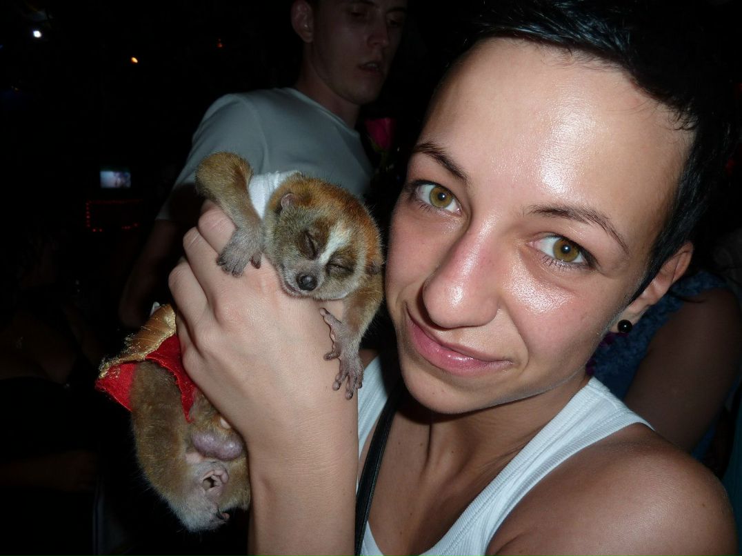 Никита Митковский | Москва