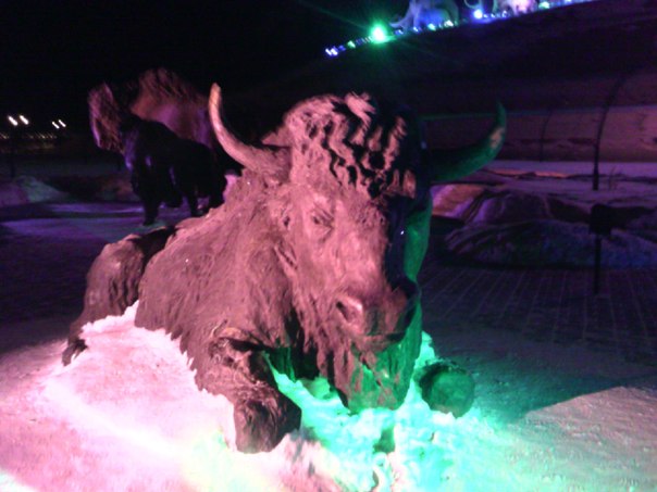 №9, Юра Башков №9, Юра Башков