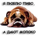 Вадик Сахаров | 