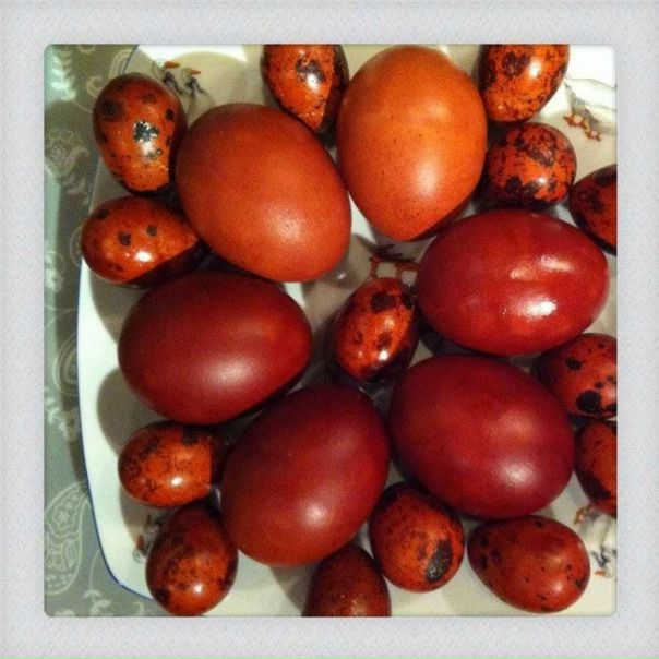 №65, Yulia Vorobieva №65, Yulia Vorobieva