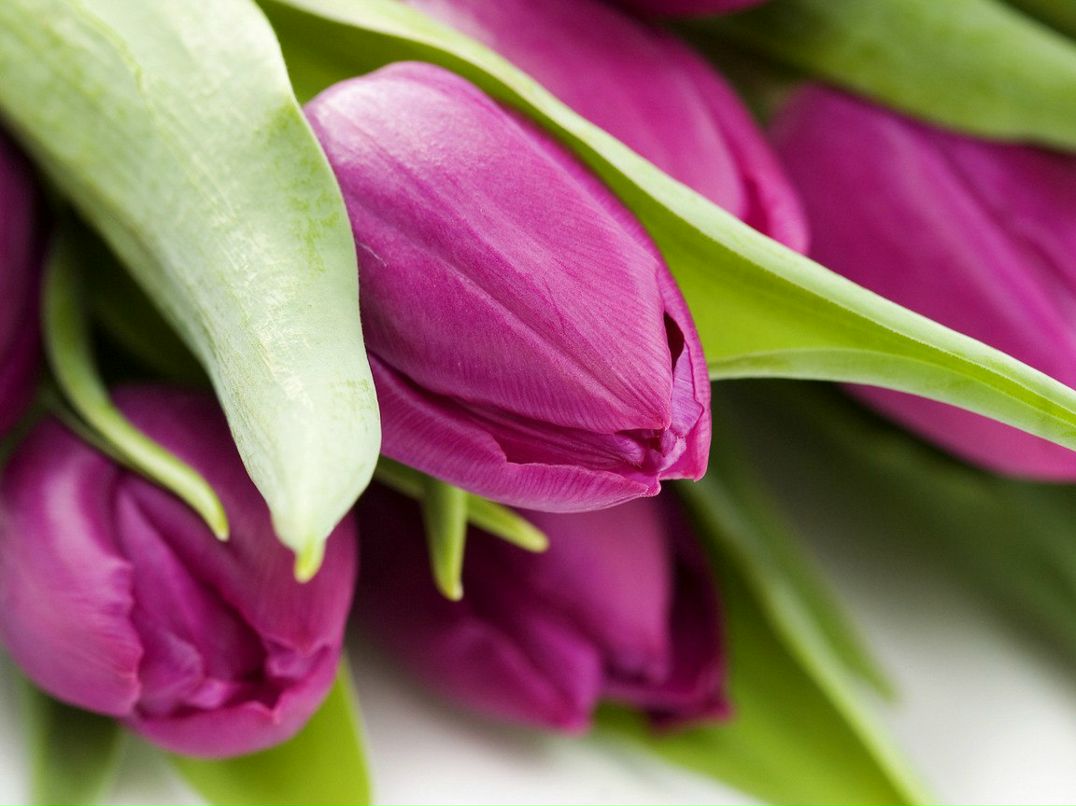 Татьяна Мухсинова | Челябинск