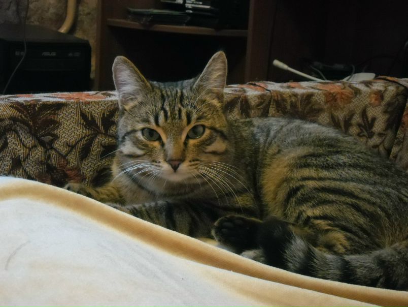 №89, Анастасия Матвеева №89, Анастасия Матвеева