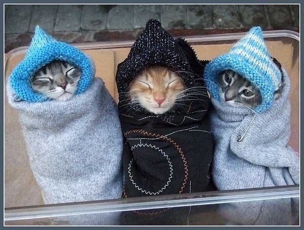 Евгения Непомнящая | Санкт-Петербург