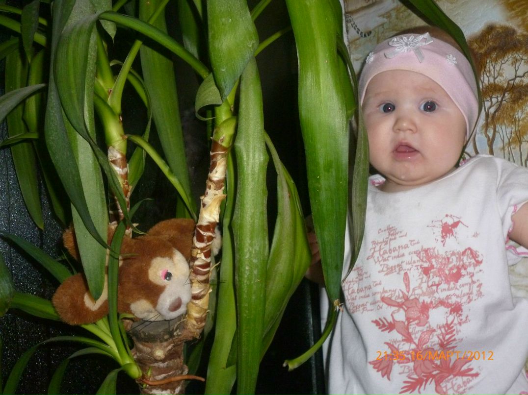 Рената Кадырова | Алматы