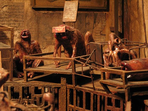 Илья Богемов Аристократович | Петрозаводск