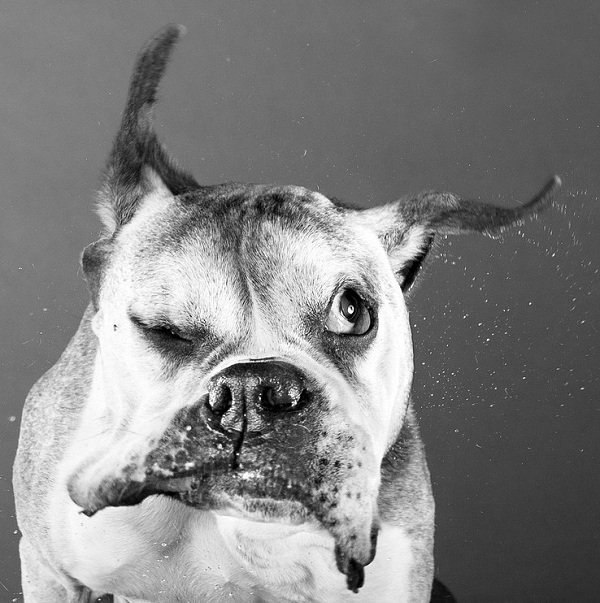 Виктор Попов | London